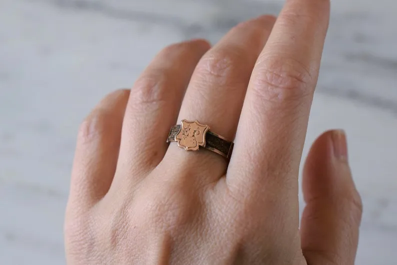 Antique Victorian Hairwork Mourning Ring