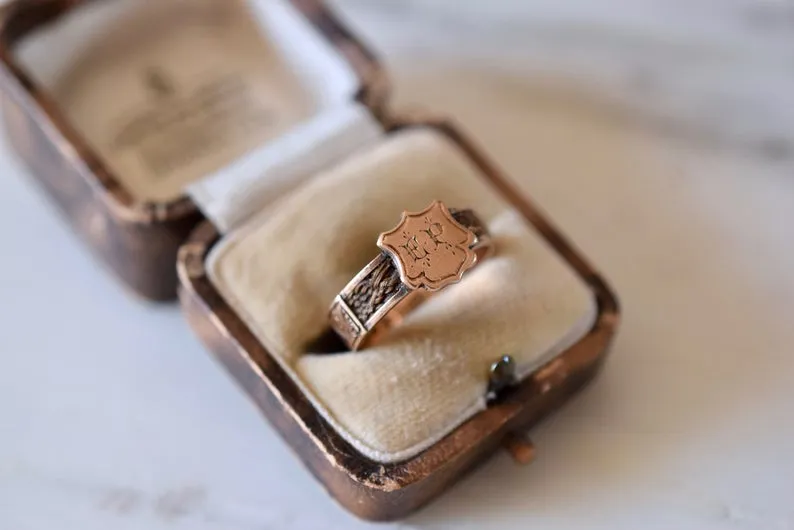 Antique Victorian Hairwork Mourning Ring