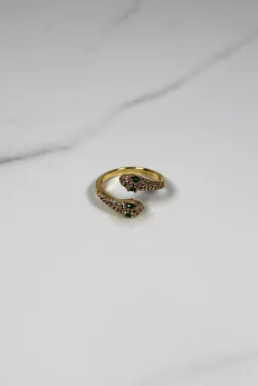 Coil Snake Ring