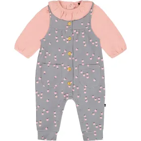 Deux par Deux Organic Cotton Long Sleeve Onesie & Apples Print Overall Set, Gray