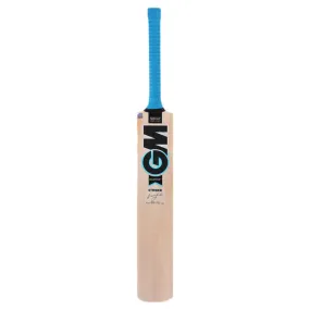 GM Diamond Striker Kashmir Willow Cricket Bat (NO 3)