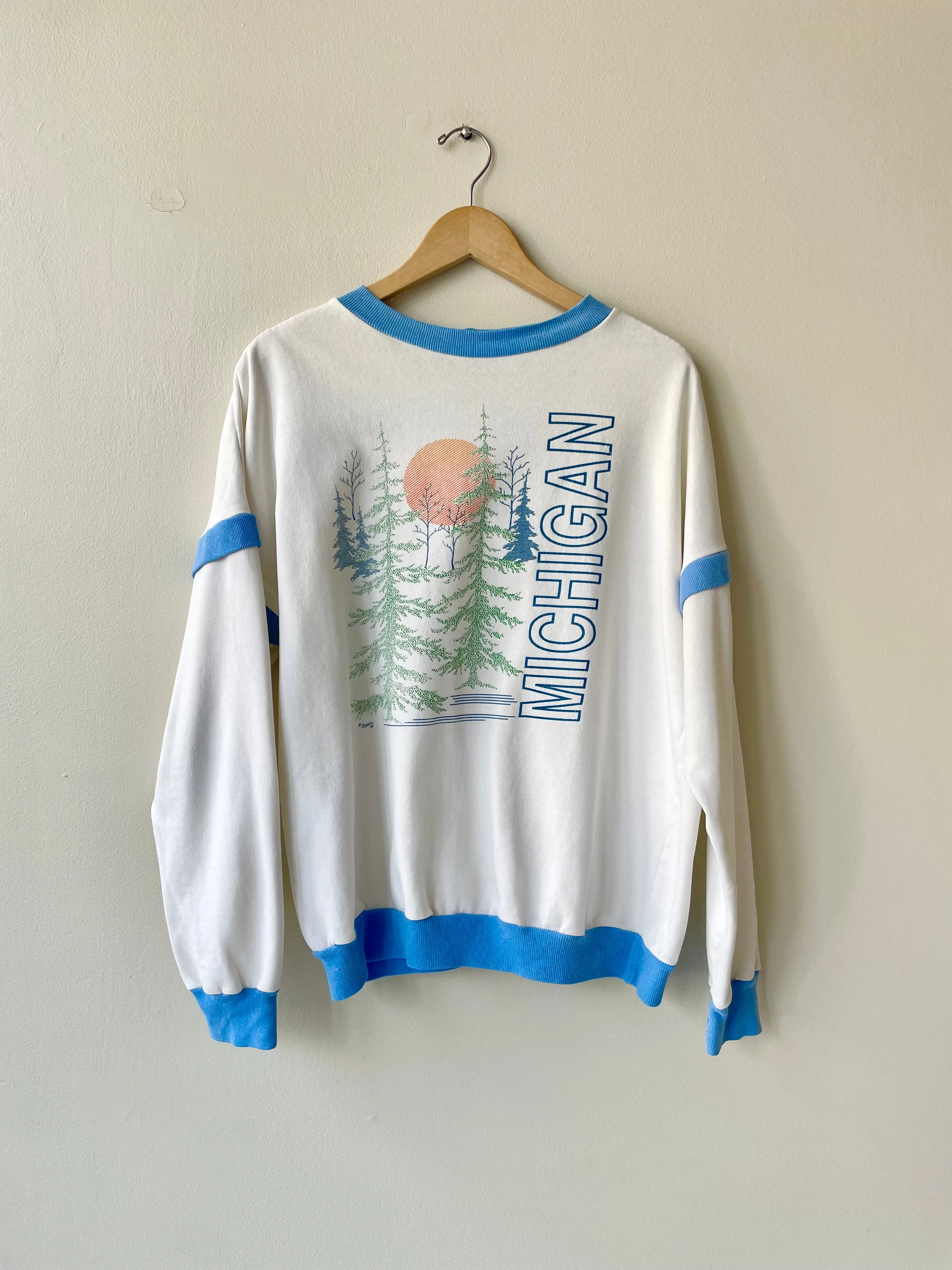 Michigan Sweatshirt | 1970s